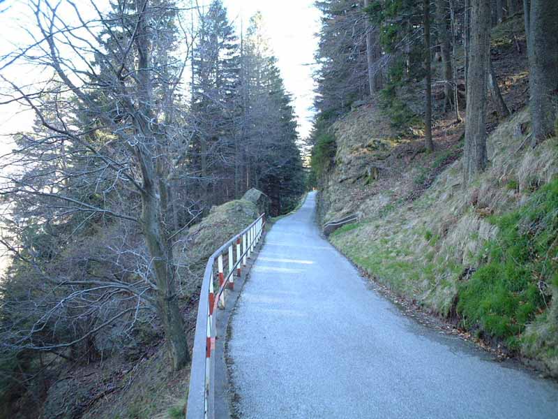 Si esce dal bosco: la prima parte dura di salita  ormai finita