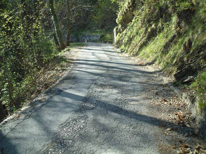 Ecco come si presenta la prima parte della salita nel bosco subito dopo Bidogno